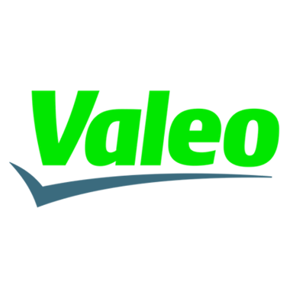 logo-treinar-vip-parceiro2