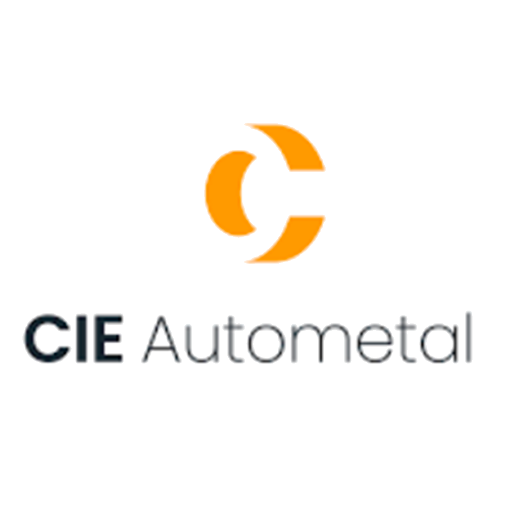 logo-treinar-vip-parceiro5