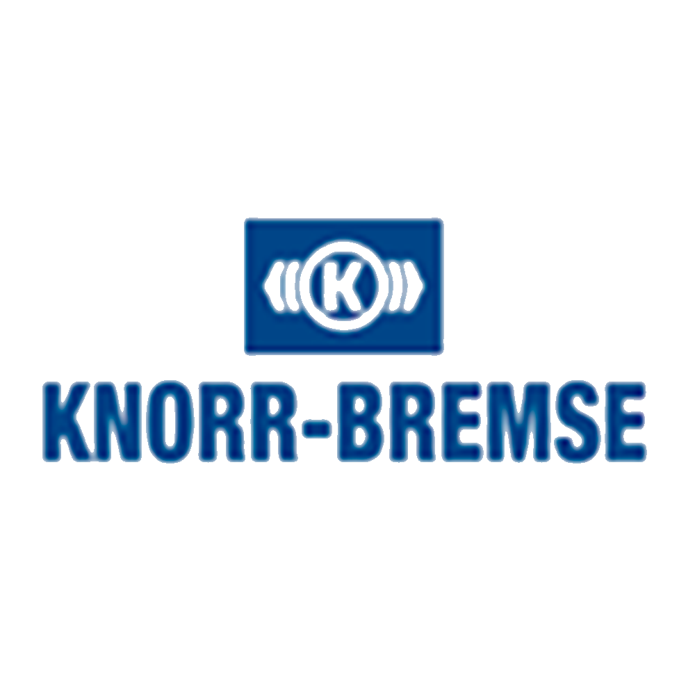 logo-treinar-vip-parceiro6